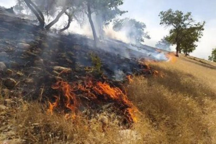 تصویر جنگل‌های شهرستان باشت پس از ۳ روز همچنان در آتش می سوزند