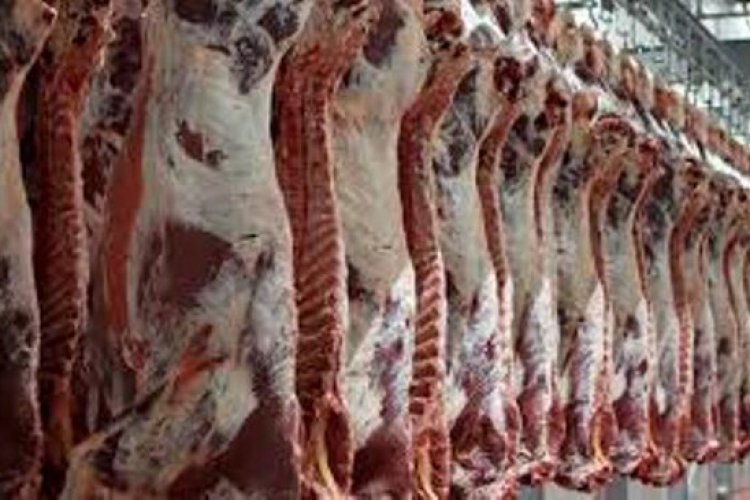 تصویر قیمت گوشت گوسفند کاهش یافت