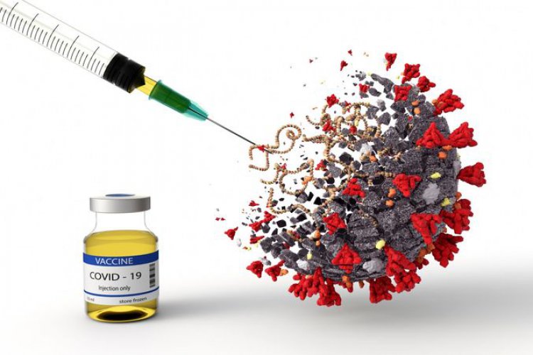 تصویر معرفی بهترین و موثرترین واکسن کرونا در جهان