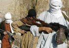 اصولگرایان از طالبان دفاع می کنند؟