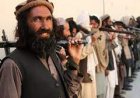 طالبان نیروهایش را برای تصرف پنجشیر، اعزام کرد