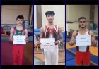 ۴ نشان رنگارنگ مسابقات قهرمانی کشور بر گردن ژیمناست‌های فارس