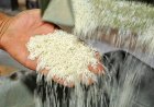 پایان تلاطم قیمت در بازار برنج