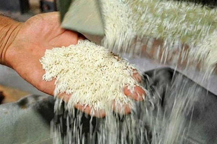 تصویر پایان تلاطم قیمت در بازار برنج