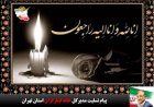 پیام تسلیت مدیرکل خانه ایثارگران استان تهران در پی درگذشت فرزند حاج احمد عزیزی