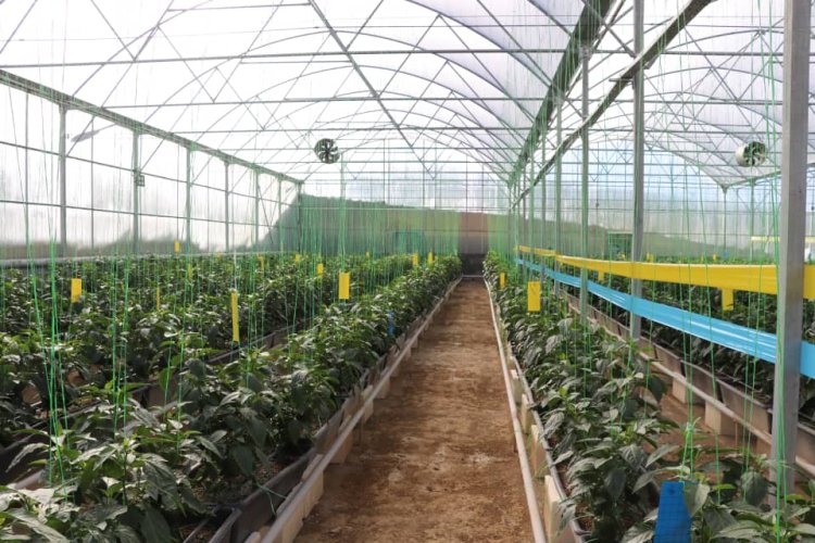 افتتاح پروژه های کشاورزی در اقلید