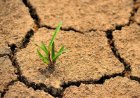 امهال اصل تسهیلات خسارت دیدگان از خشکسالی