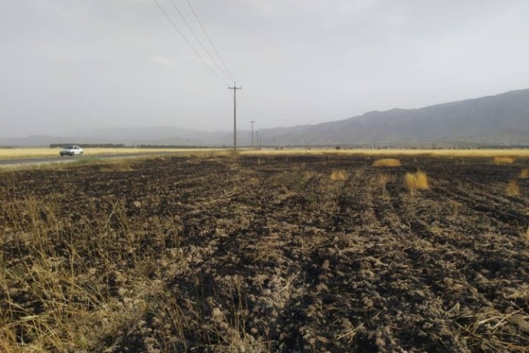 تصویر ضرورت جدی گرفتن خطر آتش سوزی در مزارع کشاورزی