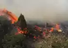 مهار آتش‌سوزی در منطقه حفاظت شده ارژن و پریشان