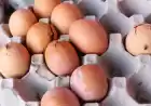 شانه خالی کردن مردم از خرید تخم مرغ