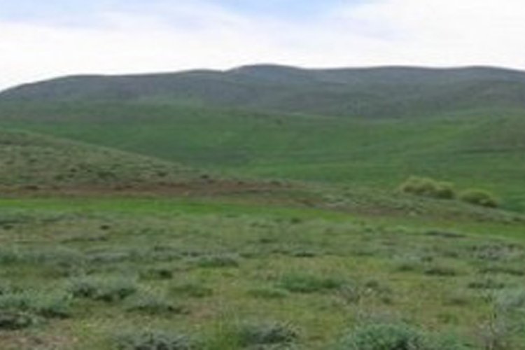 اجرای طرح ممیزی در سطح 16 هزار هکتار از اراضی مرتعی شهرستان فراشبند