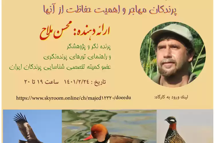 برگزاری وبینار اهمیت حفاظت از پرندگان مهاجر به مناسبت روز جهانی پرندگان مهاجر در استان فارس