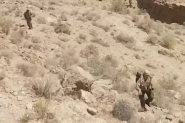 تصویر دستگیری متخلف شکار 3 فرد کل و بز در لارستان فارس