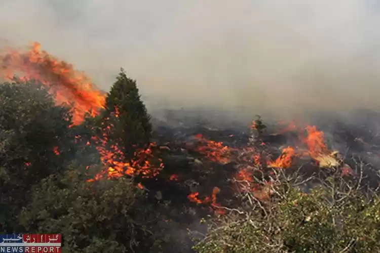 تصویر مهار آتش‌سوزی در منطقه حفاظت شده ارژن و پریشان