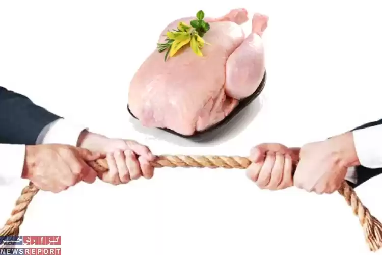 تصویر نتیجه طناب کشی مردم و فروشندگان مرغ
