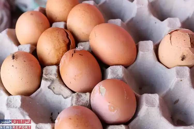 شانه خالی کردن مردم از خرید تخم مرغ