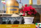 پیام تبریک مدیرکل خانه ایثارگران استان تهران به مناسبت ولادت حضرت امام رضا علیه السلام