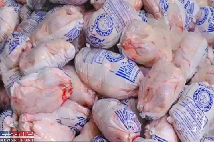 تصویر هزارتن مرغ منجمد در فارس ذخیره سازی شد
