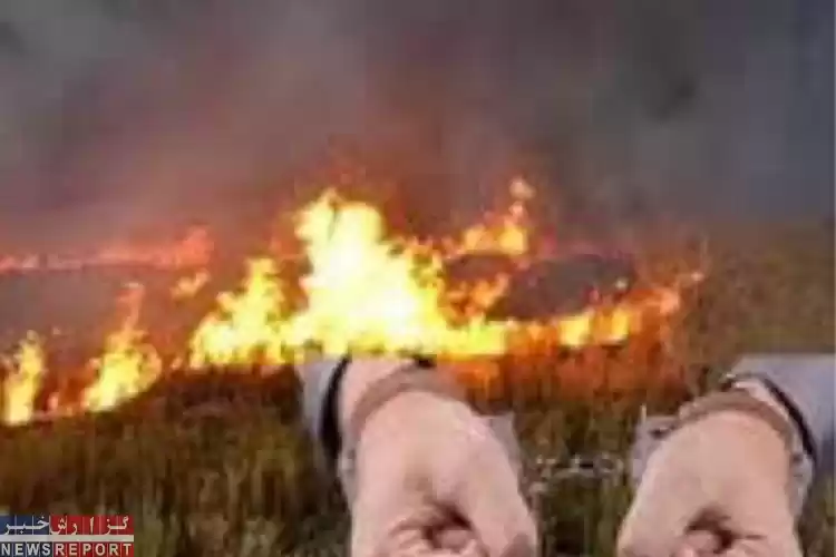 تصویر برخورد قانونی با کشاورزان متخلف در سوزاندن کاه و کُلش