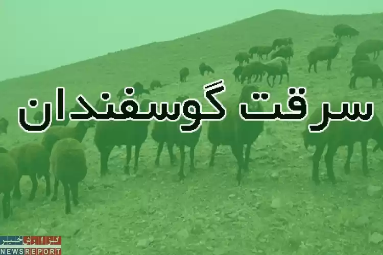 تصویر تاراج عشایر در جنوب فارس