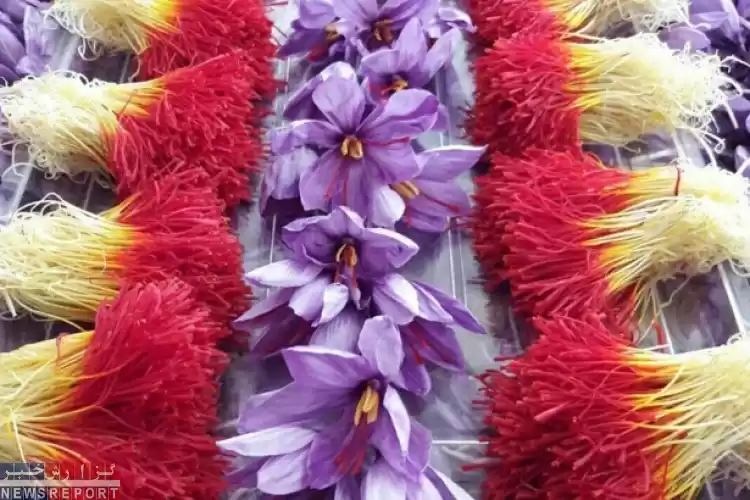 راه اندازی آپشن آتی زعفران در بورس کالا