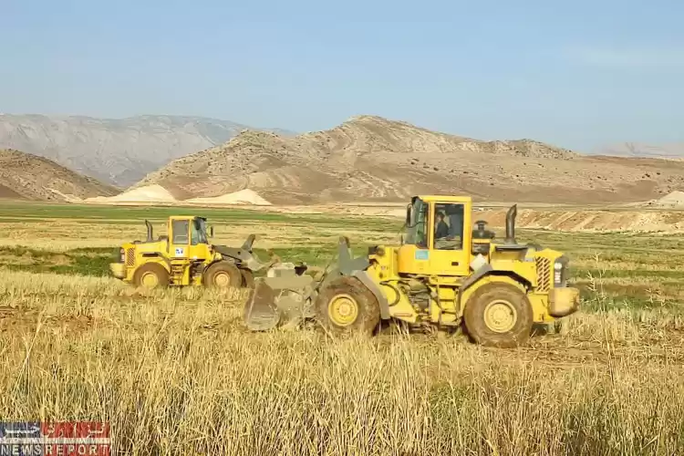 قلع و قمع  مزارع آبیاری شده با فاضلاب در شیراز